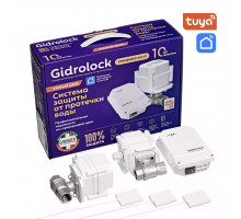 Комплект Gidrоlock Standard WI- FI BUGATTI 1/2 (32101021)