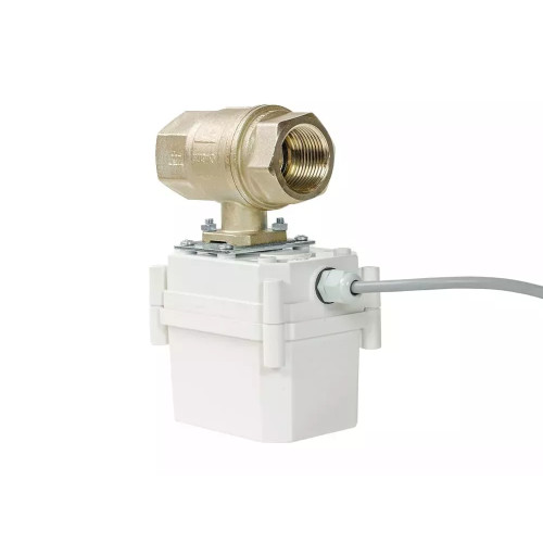 ШЭП PROFESSIONAL 220V ENOLGAS 1” (11022043)